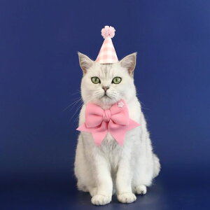 KaseremyybgaObYLaXq킢lN^CX^CTCY߉\Beʐ^o[Xf[av[gp[eB[t(sN)