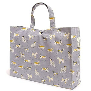 COLORFULCANDYSTYLELAURAASHLEYv[obOj̎qqrj[hZ~{XgXC~OobODOGSN0355500