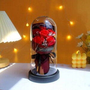 6փ[YJ[l[VtOX\[vt[tFA[Mtg{bNXoKXh[LEDCg͂ȂԃV{t[jҗjސEjLOMtg(c