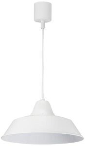 OHM�y���_���g60W�z���C�g�y�d���ʔ��zLT-Y10AW-W06-1493