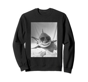 TOX킢T̃N[ȊCmtHgu[Xg[i[