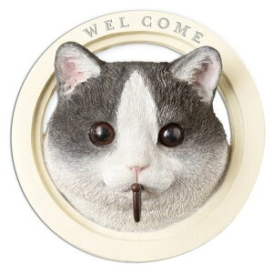 LV}kishimaK[fjOփIuWFGݕǃtbNi`˂KH-61243TCY