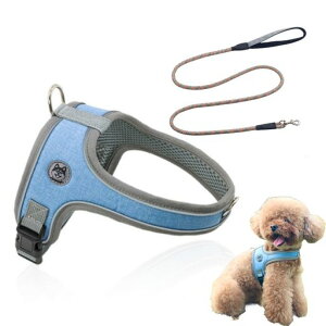 GIIPET-n[lX[hZbgԔˌジ蔲Ȃn[lXpp[n[lXAɗDl[v[ghbOn[lXh~ߖh~ʂybgpփTCY߉c