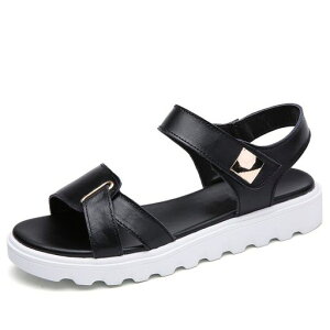 [STQ]CBL101heise35fB[Xt@bVI[vgET_tbgxbhRtH[gT_؍}WbNe[vItBXT_Sn~ߔr