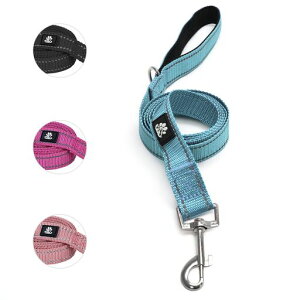 NESTROADp[hԔˎ₷1.5M^E^E^pɗD[hPUOEh~yʃiC(u[1{)