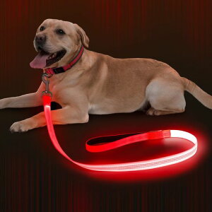 DlitkLED[hUCghbO[h1.2mPx郊[hF500mUSB[dybgpԈSU^^(bh120cm)