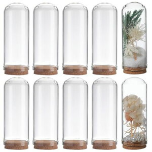 SUNNYCLUE11070mmKXh[KXreԕrKXJo[fBXvCP[XfR[VRNx[XhCt[fBXvCeEuؐx[XKXJo[Nc