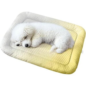 xbh⊴ybgxbhėpЂNbV}bgLpЂ菋΍ʋCDꊊ~߃ybg\t@ӂӂCG[50*40cm