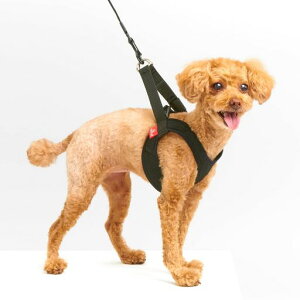 Ajt(anifull)AjT|n[XgubNXSTCYXSTCY