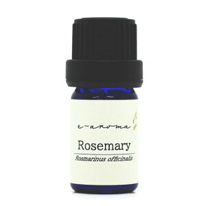 e-aroma[Y}[30mlGbZVICA}IC