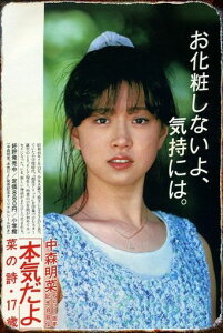 yagSݓXzaŔ|X^[v[ggX܊ŔuLŔǂ̑Ŕ^v[gAJ