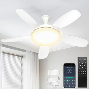 SUKITEN�V�[�����O�t�@�����C�g8-10��81cm�y2026�N�ŐV�i���E��^�E�啗�ʁE���t��]�zE26LED�t�@���t���Ɩ�5000lm44W���^�É��O��DC���[�^�[���ږ��i�K�������FAPP���䃊���R���t���^�C�}�[