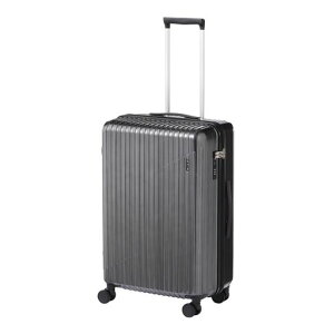 [ACE]X[cP[XNX^2No.0693760L5~73.8kgLX^[Xgbp[oփLX^[RۉHn67cmubNwAC