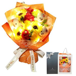 woowei\[vt[ԑLEDthV̓̓Ђ܂Ђȋe͂Ȃԃt[MtglCԃu[Pav[gjސEʑ蕨{bNX񂰑܂tc