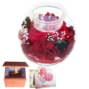 vU[uht[v[gav[g2ւKNޏȃLhz_[͂ȂԃMtgj̓zCgf[ސEjhV̓݃{bNXtbh