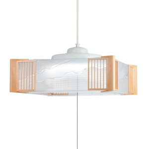 NEC �z�^���N�X(HotaluX) LED�a���y���_���g���C�g �����^�C�v~8�� HCDB0862
