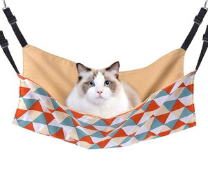 LnbNBlueekinLbgnbNq\|GXe56cmx46cmω׏d10KG傫ybgxbh˂nbNP[WpʋCڂVяvې􂢉ē~p(Op)