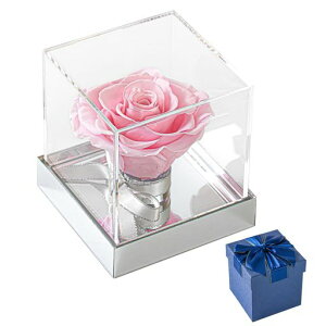 vU[uht[oMtgԒaHappybirthdayLOv|[YhCt[Mtg{bNX͂ȂԒav[glChV̓ޏFBMtgoc