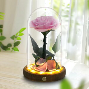 vU[uht[1ւ̃oLEDCgtv[gbh͂ȂԃKXh[{̃o{bNXޏao^Cf[NX}XȌLOt[Mtgjc