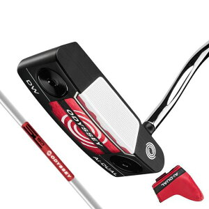 �I�f�b�Z�C(ODYSSEY) �E�p �p�^�[ Ai-DUAL DOUBLE WIDE �_�u���x���g (�u���[�h�^�C�v STROKE LAB 90�V���t�g 34�C���` �X�`�[��) �����Y