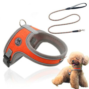 GIIPET-n[lX[hԔˌpp[n[lXAɗDl[v[ghbOn[lXh~֎ߖh~ʂybgpփTCY߉\[Eoh~yʁc