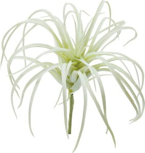 �|�s�[(Popy)���ԃ`�����W�A�s�b�N�z���C�g�S��13cm�E��12cmFG-4586W