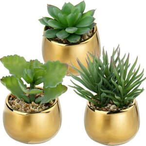 VillaComoフェイクグリーンインテリアグリーンアロエベラ人工観葉植物多肉植物卓上鉢植え小型エアプランツクリスマスオフィス店卓上可愛いおしゃれ(312CM)