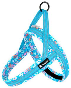 cocomall2025ŐVAɗDn[lXTRUELOVE{Xpn[lXpփhbOybgpi3MˍޗPlIvfޏ^A^A^ɌʋC߉\ĂɑΉ(}uc