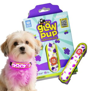 LaRooUCgUSB`[WԂ̈ړ΍􎋔F3̔[hy22g(KAցA[hApn[lX)^E^pybgpi(uhE)