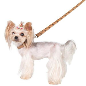 Paipeperփ[hZbgx[VbNփybgpi̎֌֔L^^߉\vqD`[J[(J[L(+[h)M)