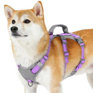 Huntboon[lX^^pn[lXh~ȂTCY\ԔˊPݖh~s⏕PU^Č(p[vS)