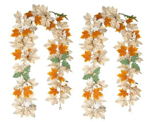 siawadekyԐlHgt݂K[hgt2{ZbgJGf̗tnEB胊[XԓHn̋GߊӍՌ֓XܕBenEBObYlHϗtc