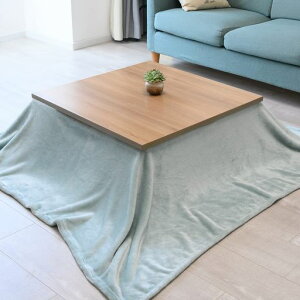 zc|zcDura-dry|ȃXy[X`||zctlnÓdCh~ۉєȂ180*180cm