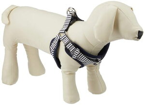 Meister(}CX^[)\teBn[lXVv{[_[MTCY