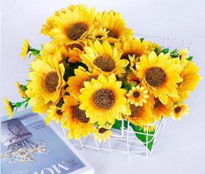 LakymisyЂ܂葢ԉԑlHϗtAu[P͂ȂԃVNINSʐ^Bejv[gCeA莩iXɓKp(262{)