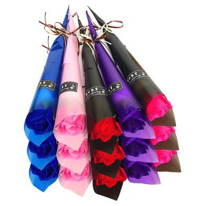 \[vt[MtglCt[\[v{bNXzCgf[̓̓搶̓[o^Cf[15{Zbg(eF3{)o