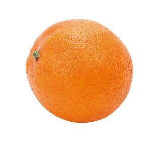 ������(Tokyodo)MAGIQ�A�[�e�B�V�����t�����[�I�����W�I�����W��8cmFV003530-zzz