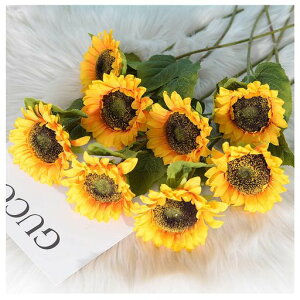 Ђ܂葢7{Tt[Ԍ͂ȂԖkX^ClHϗtA~j}XgVvƂ̑Ă̏H̏MtgpCeAt[AWgʐ^c