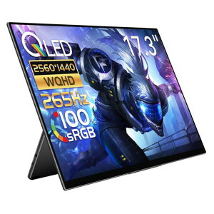 EHOMEWEI ���o�C�����j�^�[ 265Hz 17.3�C���` Switch 2 �h�b�N�s�v QLED�p�l�� �Q�[�~���O���j�^�[ �|�[�^�u�����j�^�[ 1ms 2560x1440 2K �f�W�^���V�l�}�K�i FreeSync �y�� ���^�X�s�[�J�[����