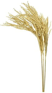 MAGIQS[hsbNS[hL42cm3{FJ000713-zzz