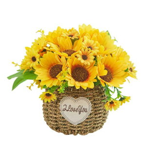 Ђ܂葢ԃTt[ԐlHAԃ~j}XgVvCeAϗtA͂Ȃq}Ouʐ^BeJXjaMtgpƂ̑Ă̏Hc