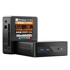 Dobios ミニpc Windows11 インテル 6500Y(N5095より速い)office2024搭載 mini pc 最大3.4GH WiFi5/BT5.1/HDMI/RJ45 小型pc ミニパソコン 2画面出力 最大4k対応 超軽量 省エネ