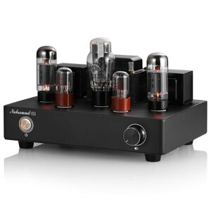 Nobsound F2 �^��� �A���v �v�����C���A���v: �V���O���G���hA�� 9W+9W �I�[�f�B�I�A���v Hi-Fi�T�E���h �ƒ�p�X�s�[�J�[�V�X�e�� ���y���D��