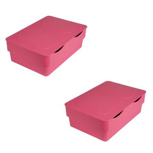 ACRNV[P[XdȂ2ZbgLTCY{Wt[JSꂩ킢sN^IrOᏑޏ{bNXX^bNStoragecaseMtgv[gjX^c