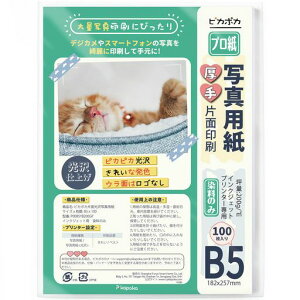 sJ|Jʐ^pB5100CNWFbgʐ^vgp200GSM