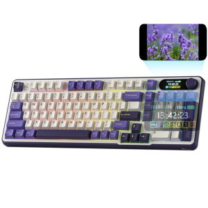 RKROYALKLUDGES98JjJL[{[hAX}[gfBXvCуmutAgbv}Eg96%CXJjJL[{[hBT/2.4G/USB-CAzbgXbv\A\tgEFAT|[gAc