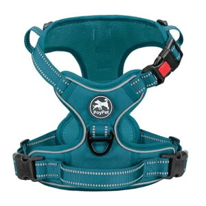 PoyPetn[lXp֖Ԕˍވh~P݌yTCYʋCȒPEV삵Ps⏕U^/^/^n[lX(gD}eB[AS)