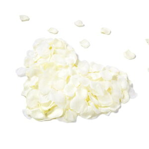 Ԃт3000Zbgt[V[KNԃv|[Y茋EGfBO2ajNX}Xp[eB[p(zCg3000)