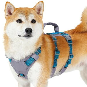 Huntboon[lX^^pn[lXh~ȂTCY\ԔˊPݖh~s⏕PU^Č(e[u[S)