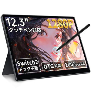 HAILESI S123E ���o�C�����j�^�[ 12.3�C���` Switch2�h�b�N�s�v �^�b�`�p�l�� �^�b�`�y���Ή� OTG�Ή� 1920x1280